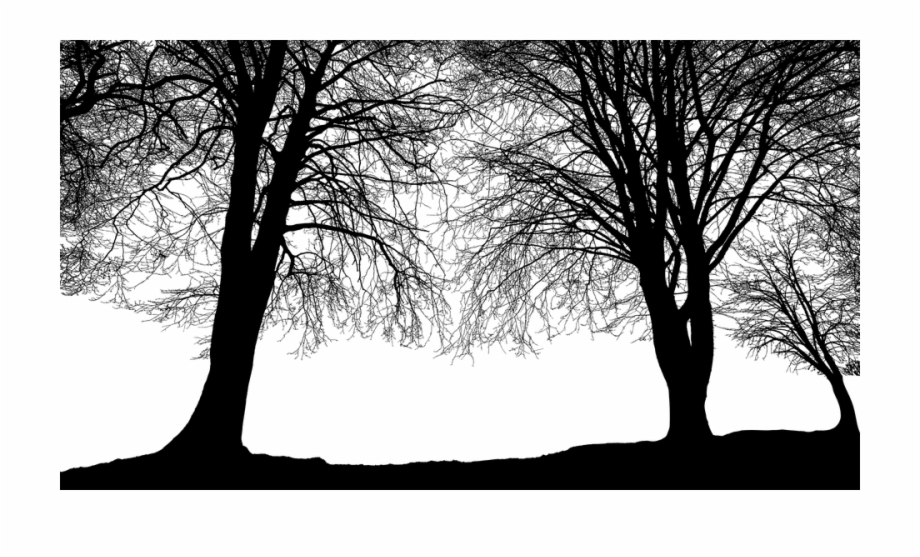 forest clipart black and white landscape