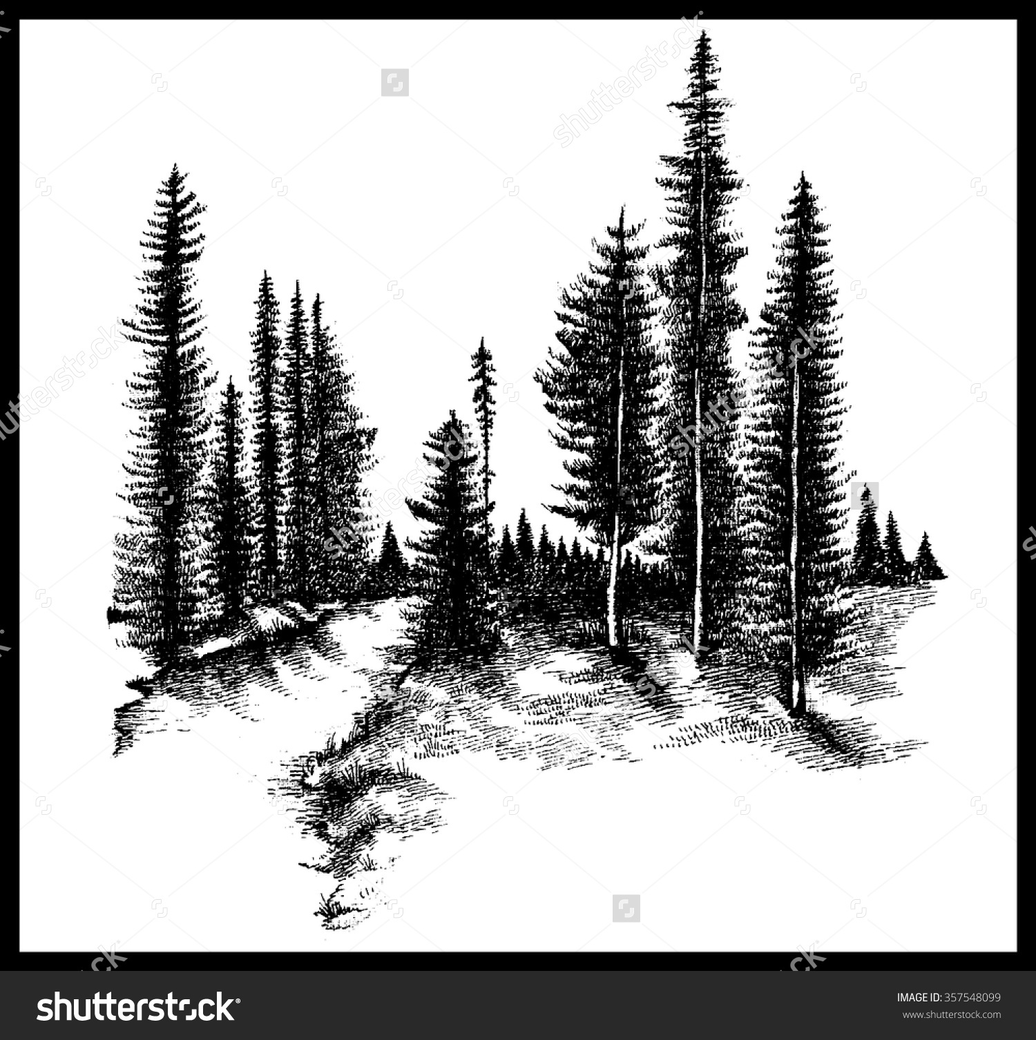 Pine tree forest clipart black and white