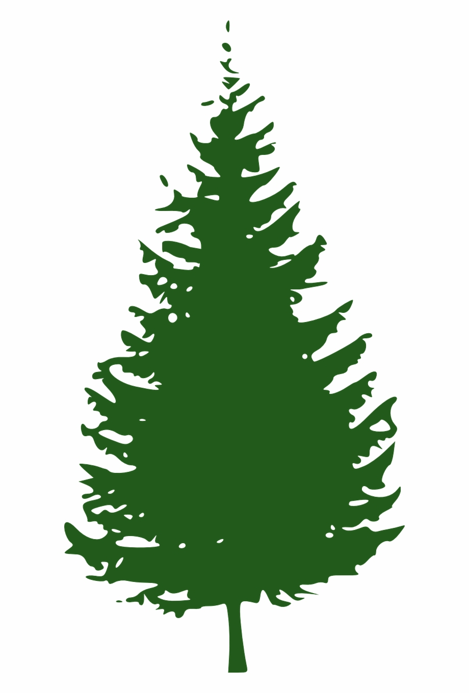 Clipart pine trees.