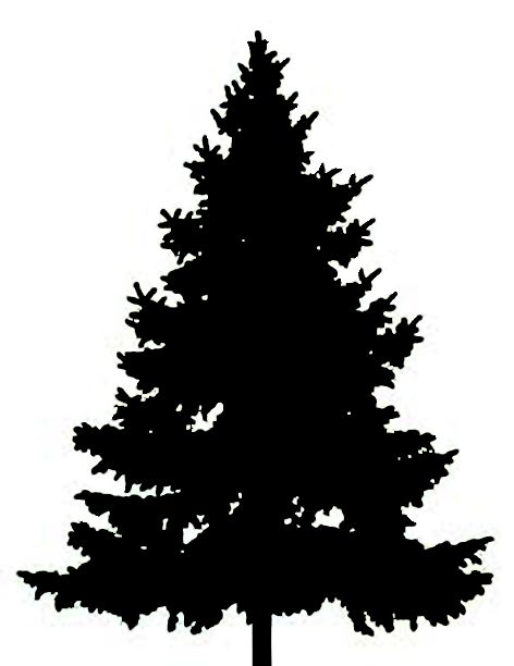 Best Pine Tree Clipart