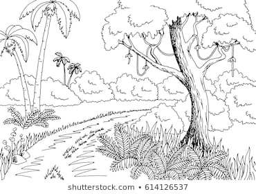 forest clipart black and white rainforest