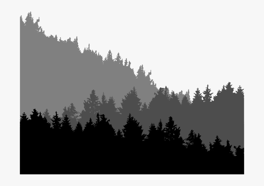 Forest treeline landscape.