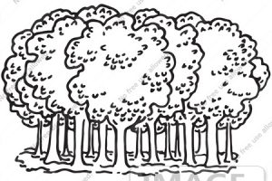Forest clipart black and white