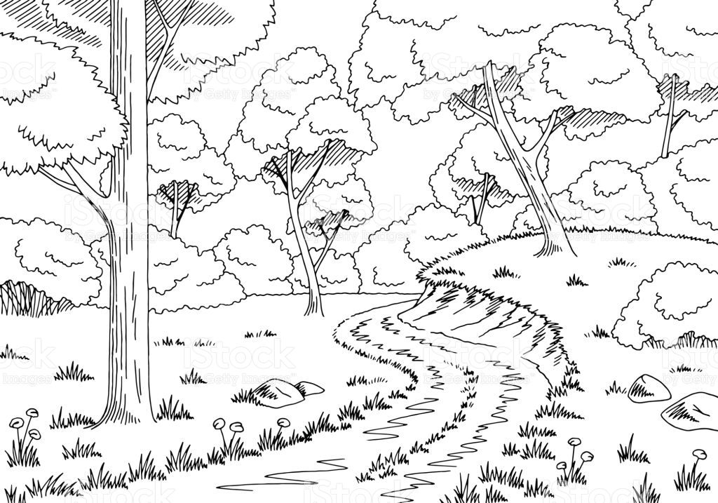 Forest habitat drawing.