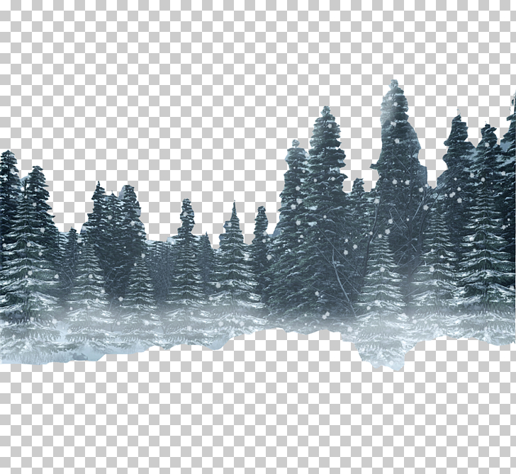 forest clipart black and white winter