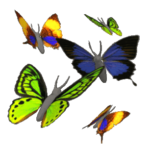 Free Butterfly Gif Transparent, Download Free Clip Art, Free