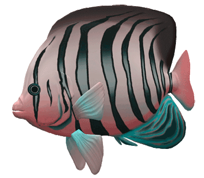 Great Aquarium Fish Gif Images at Best Animations