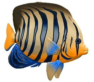 free animated clipart fish
