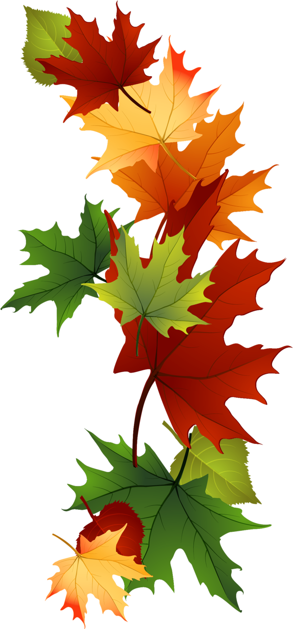 Leaf Fall Leaves Clip Art Beautiful Autumn Clipart
