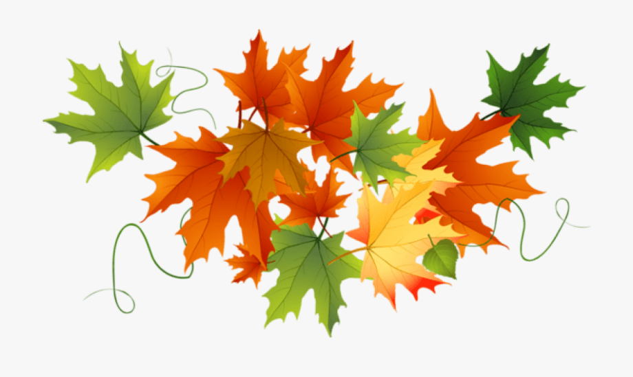 Autumn Leaves Clipart Transparent Background , Transparent