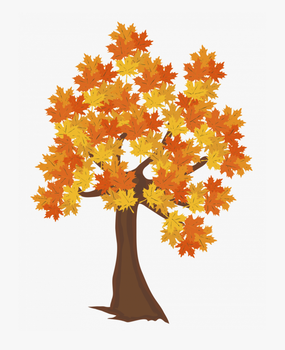 Drawing Fall Autumn Tree