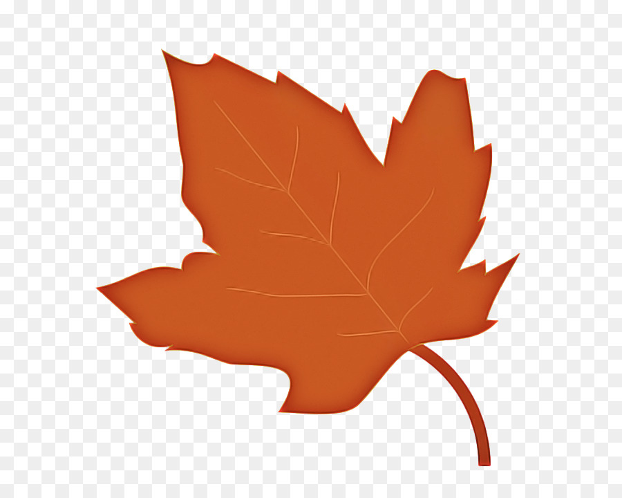 Clip art Portable Network Graphics Autumn Image Leaf