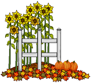 Free fall sunflower.
