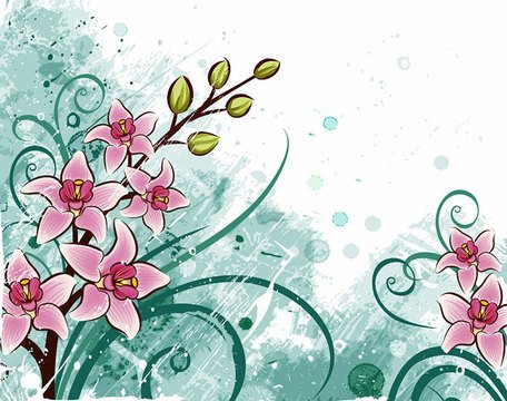 Free Lily Flower Background
