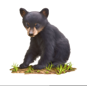 Black Bear Cub Clipart