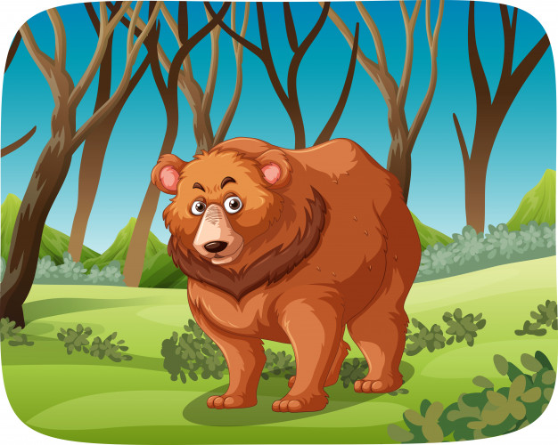 A grizzly bear in forest Vector