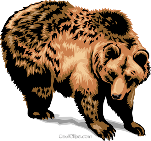 Grizzly Bear Royalty Free Vector Clip Art illustration