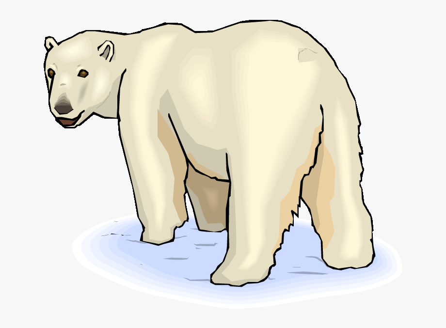 Pin Baby Polar Bear Clipart