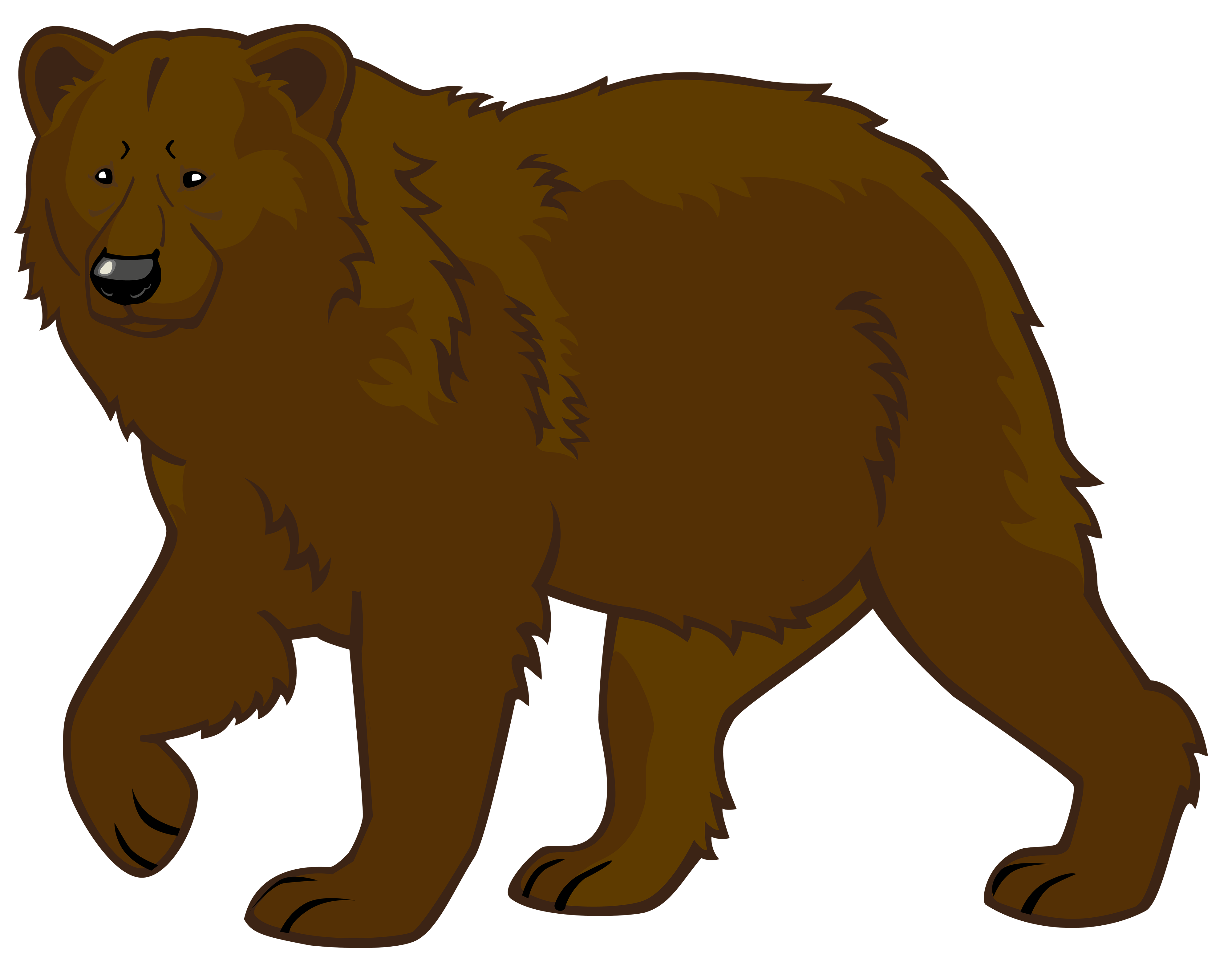 Brown bear polar.