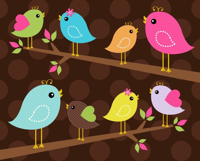 free bird clipart colorful