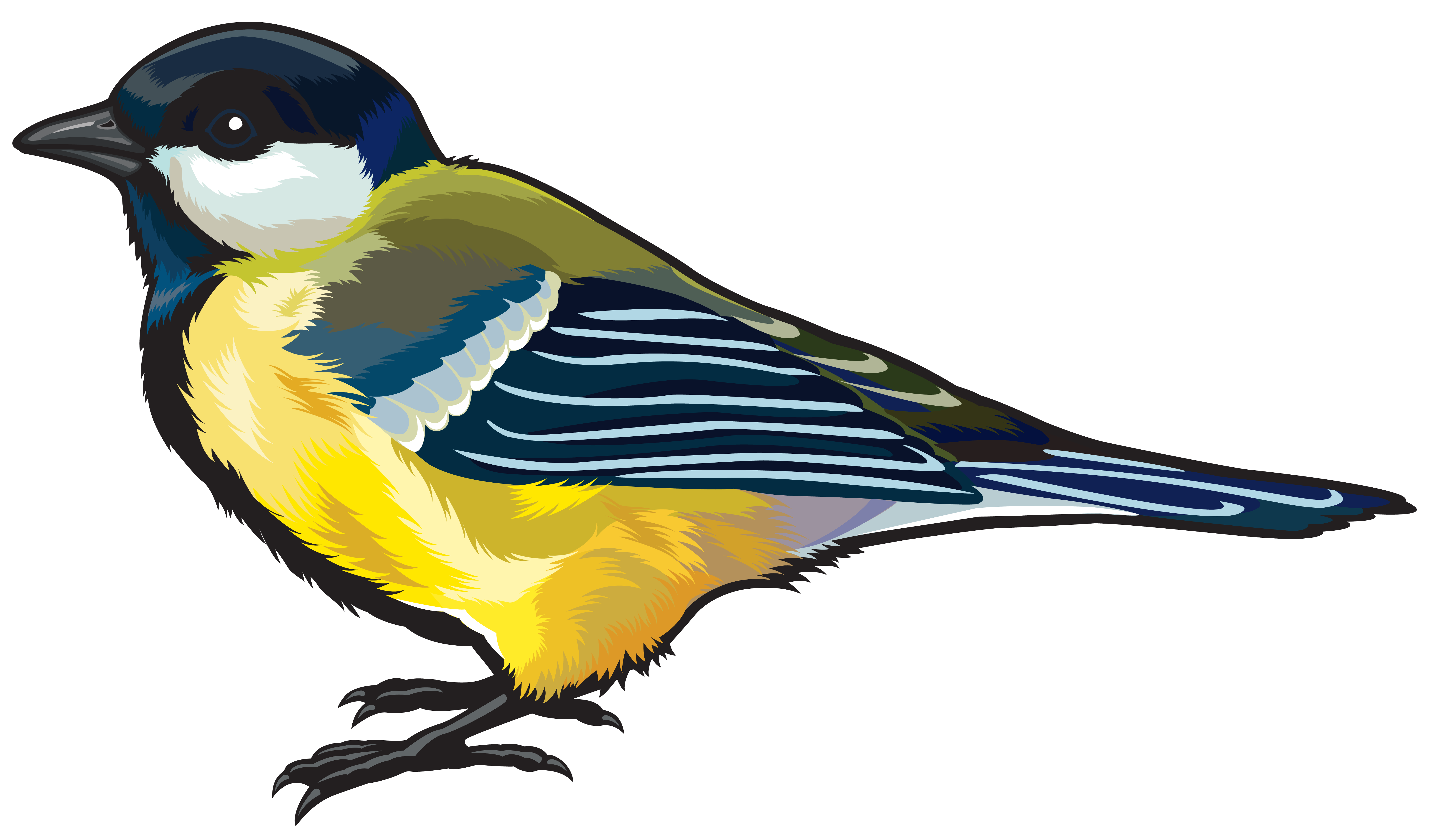 free bird clipart goldfinch