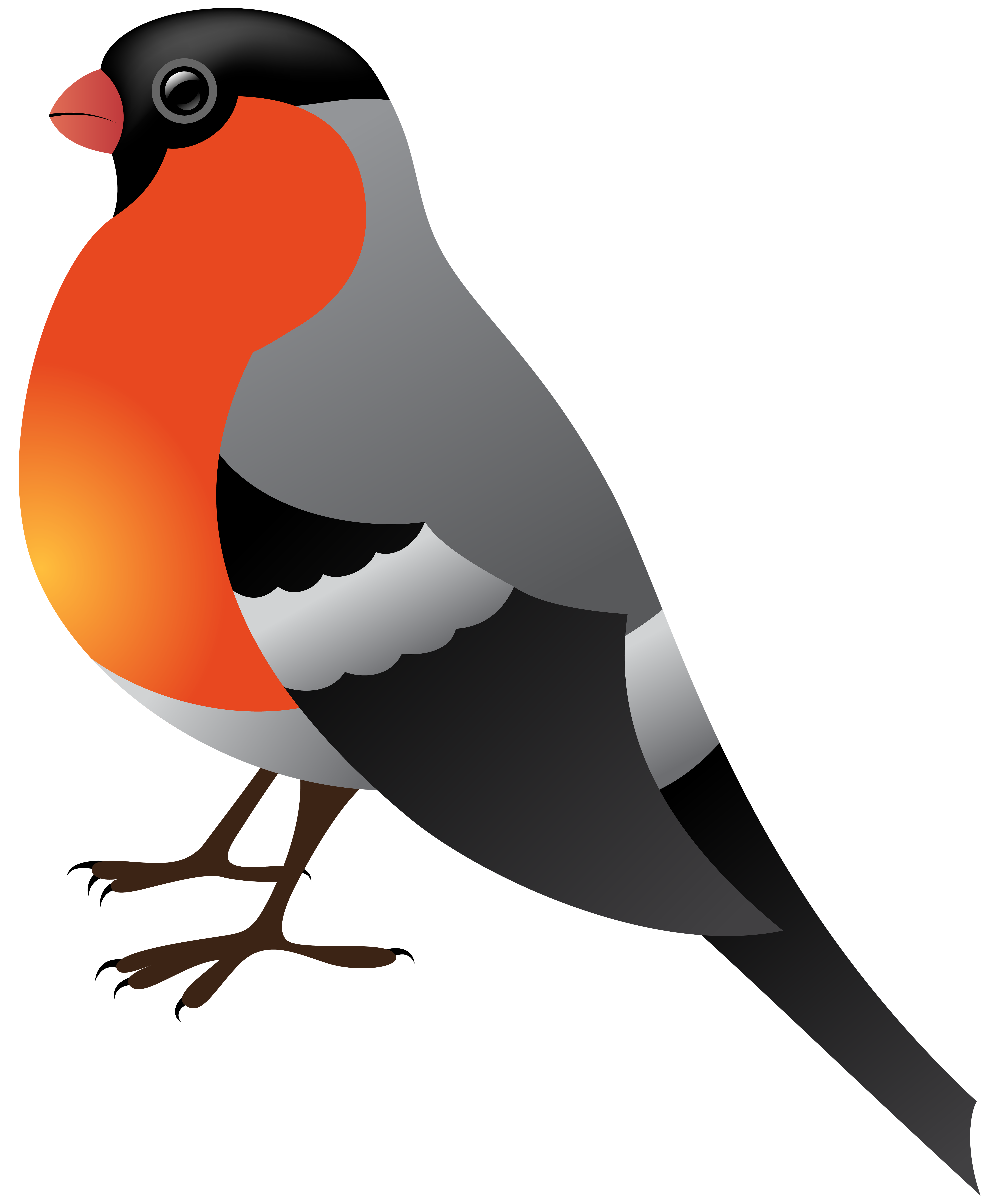 Free Bird Clipart Goldfinch Pictures On Cliparts Pub 2020 🔝