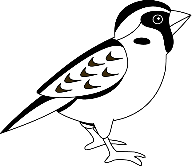 Collection of Sparrow clipart