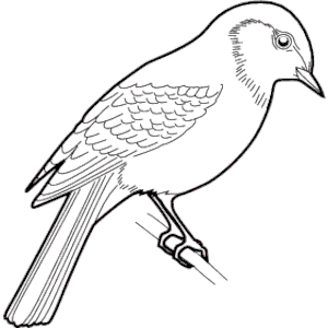 free bird clipart sparrow