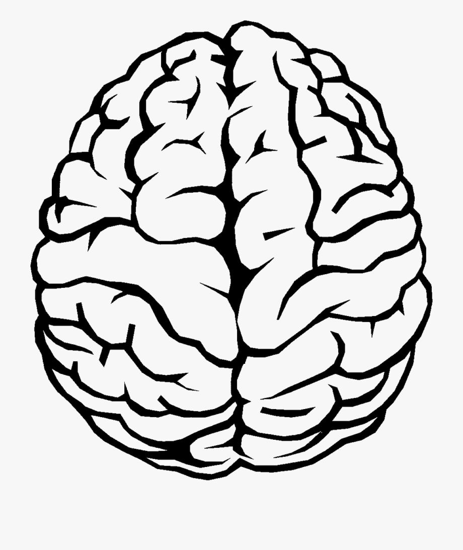 Brain outline brain.