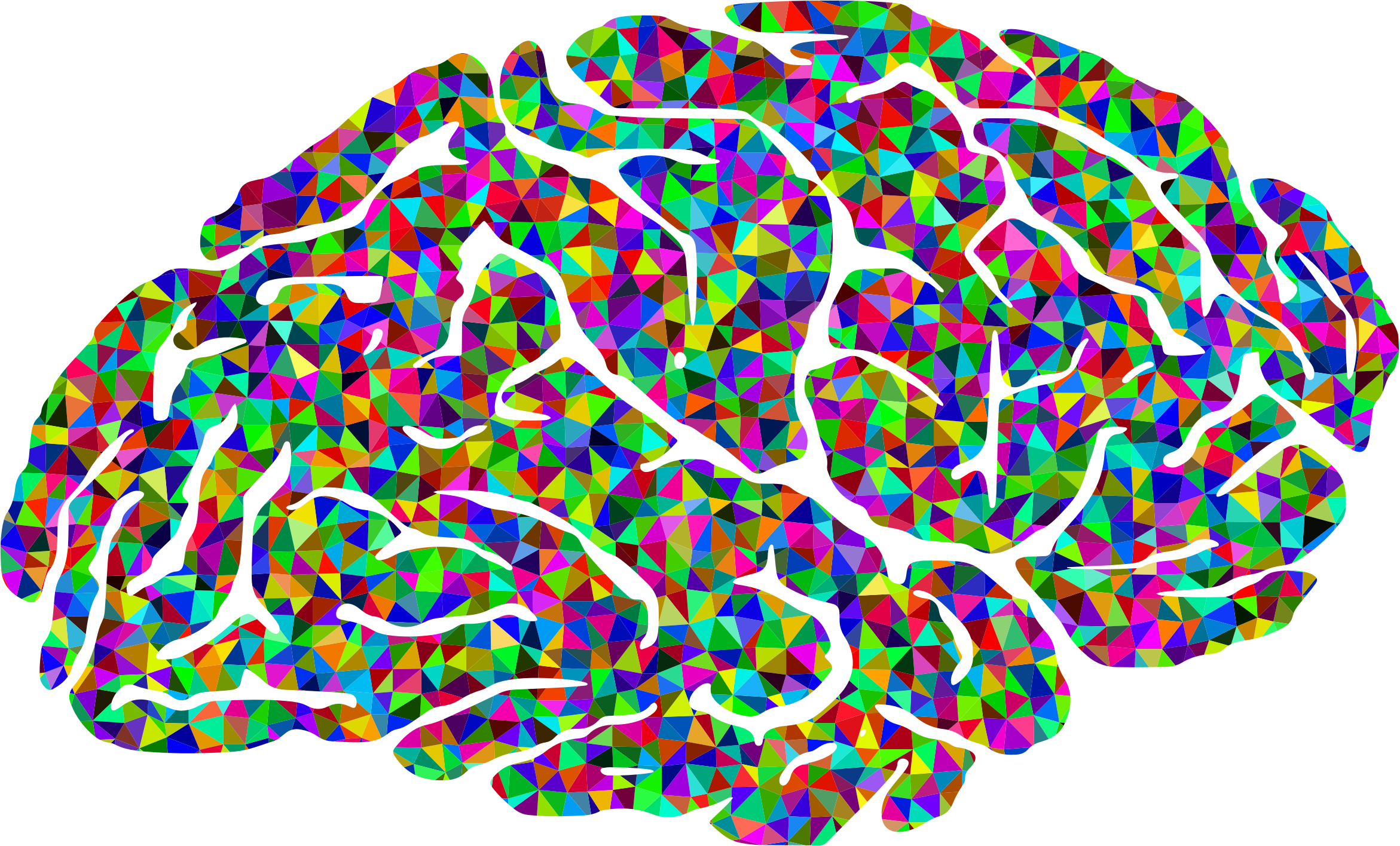 Human brain color.