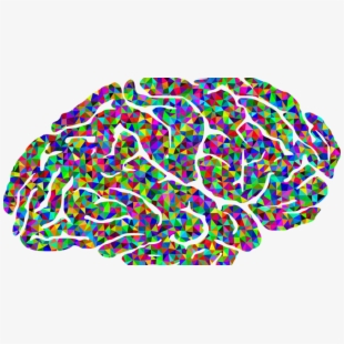 free brain clipart colorful