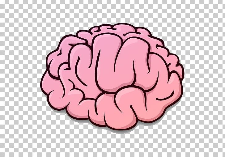 Brain Rules Human Brain Brain