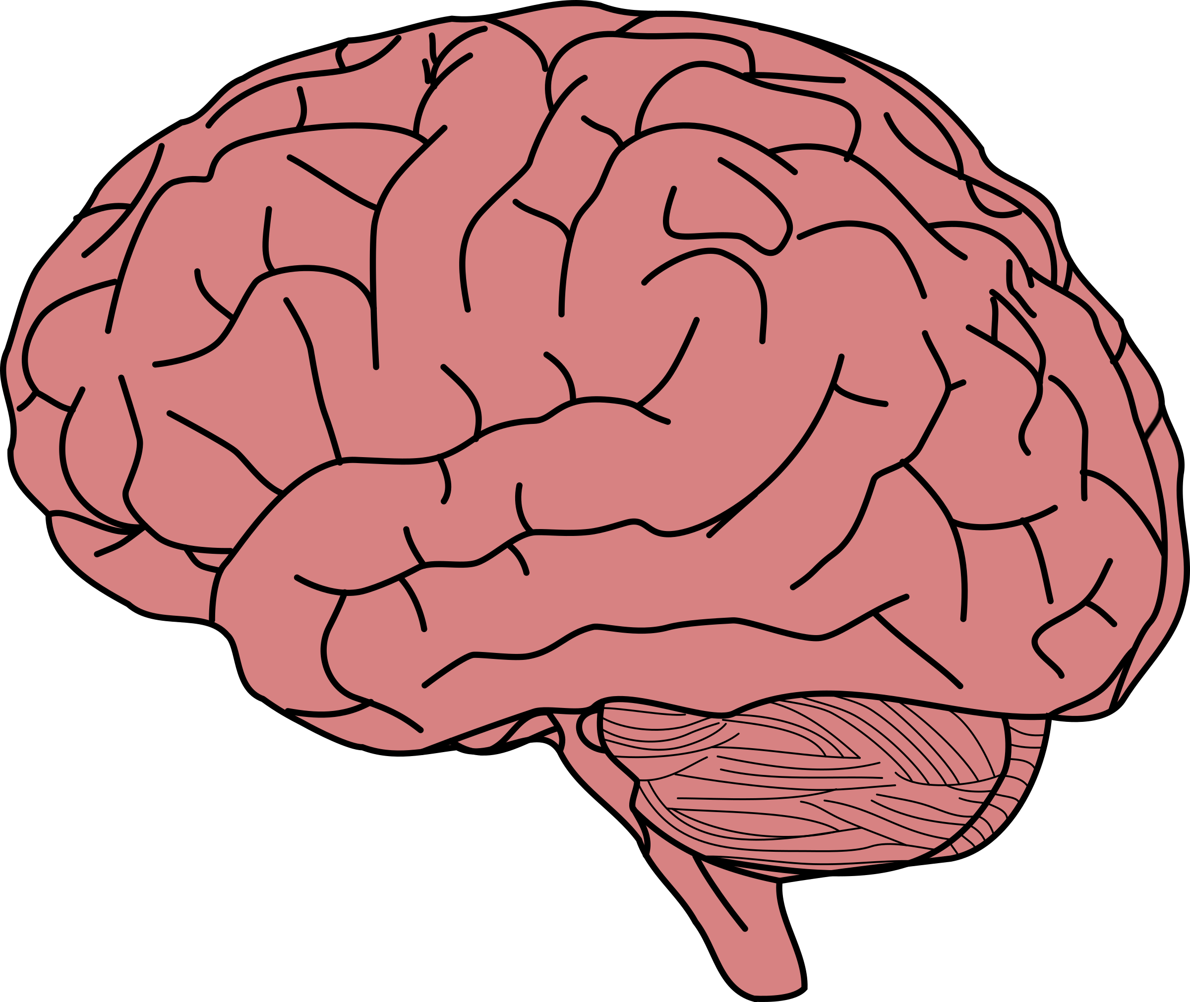 Human brain Memory Clip art