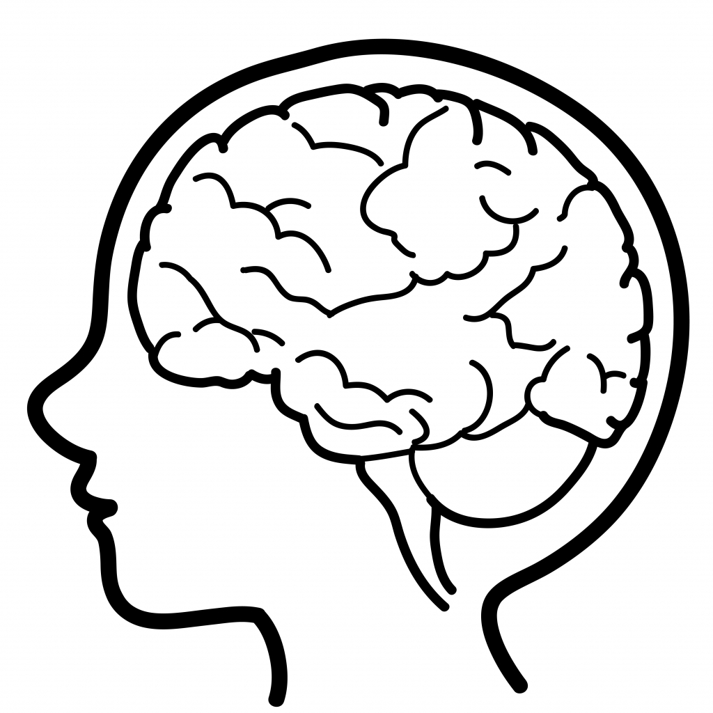 Brain clipart simple clipart images gallery for free