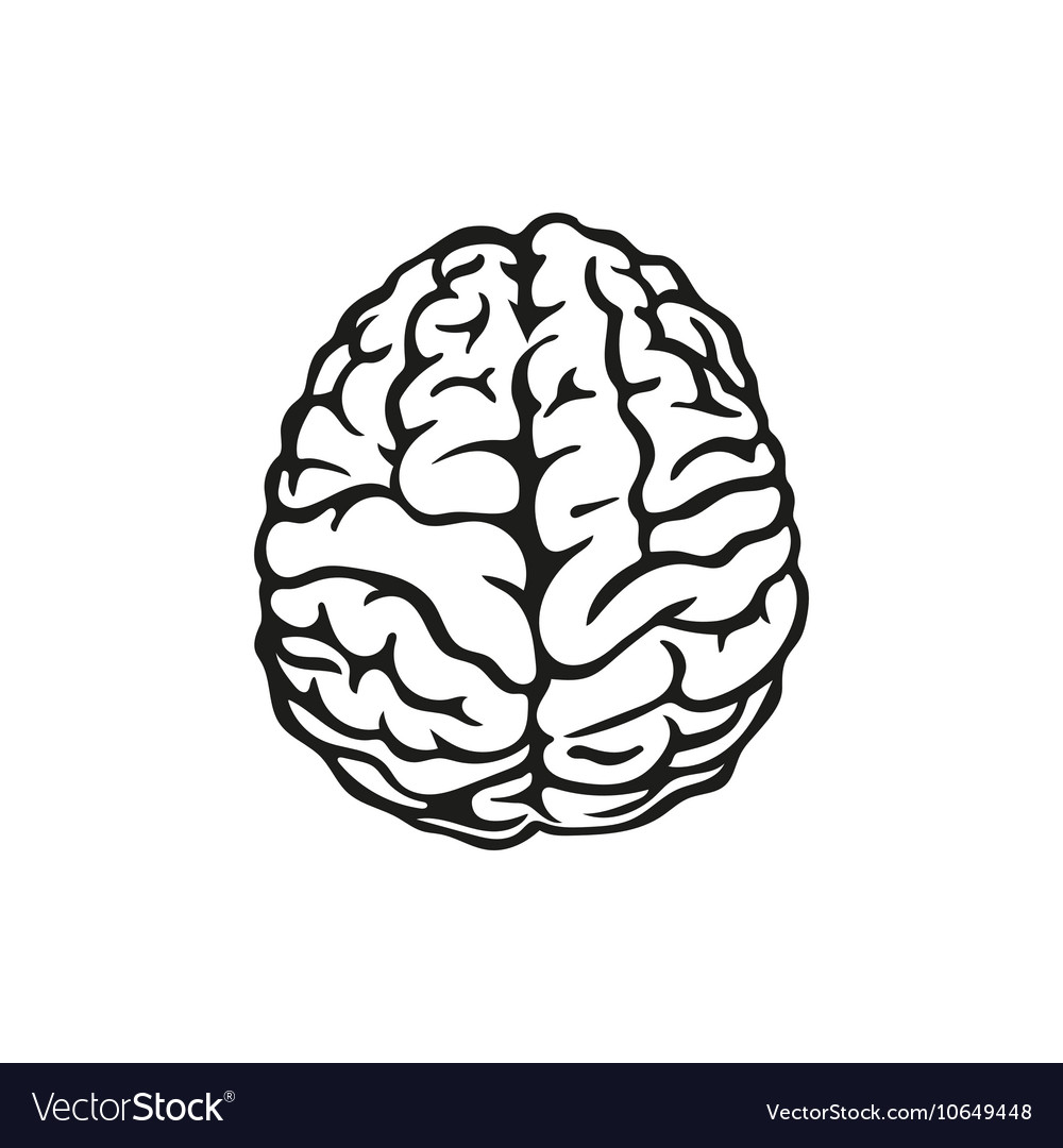 Outline human brain.