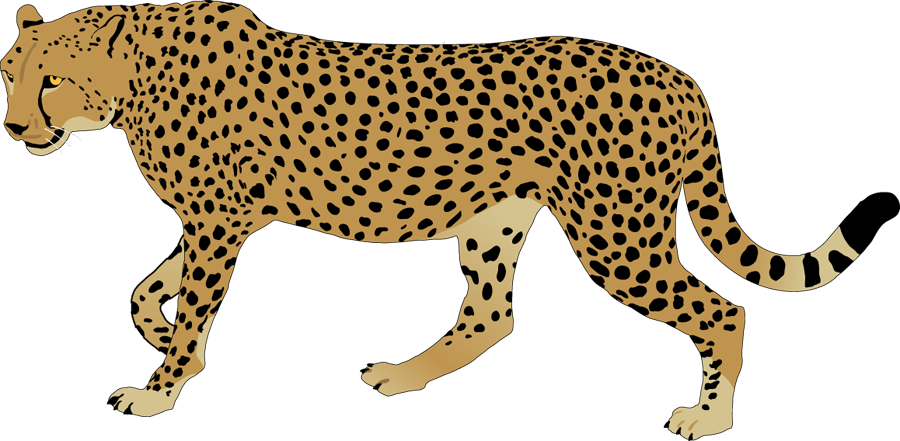 Best cheetah clipart.