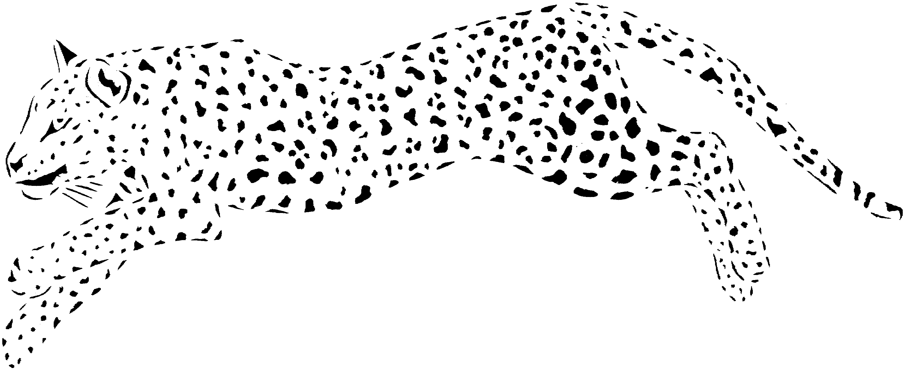 Free cheetah coloring.