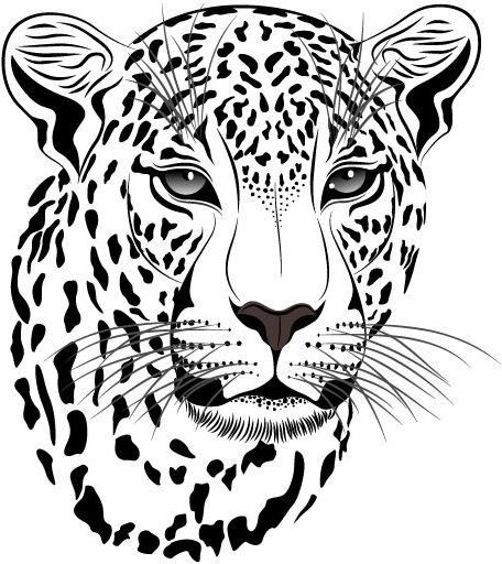 Set of cheetah vector picture art Free vector in