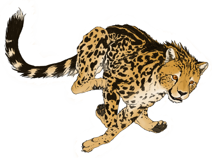 Cheetah roaring clipart.