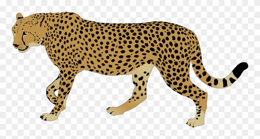 Svg Freeuse Library Cheetah Rainbow Free Collection