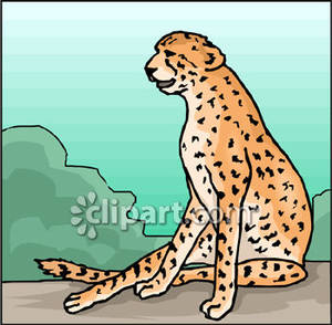 Cheetah clipart muscular, Cheetah muscular Transparent FREE