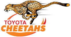 Cheetahs rugby union.
