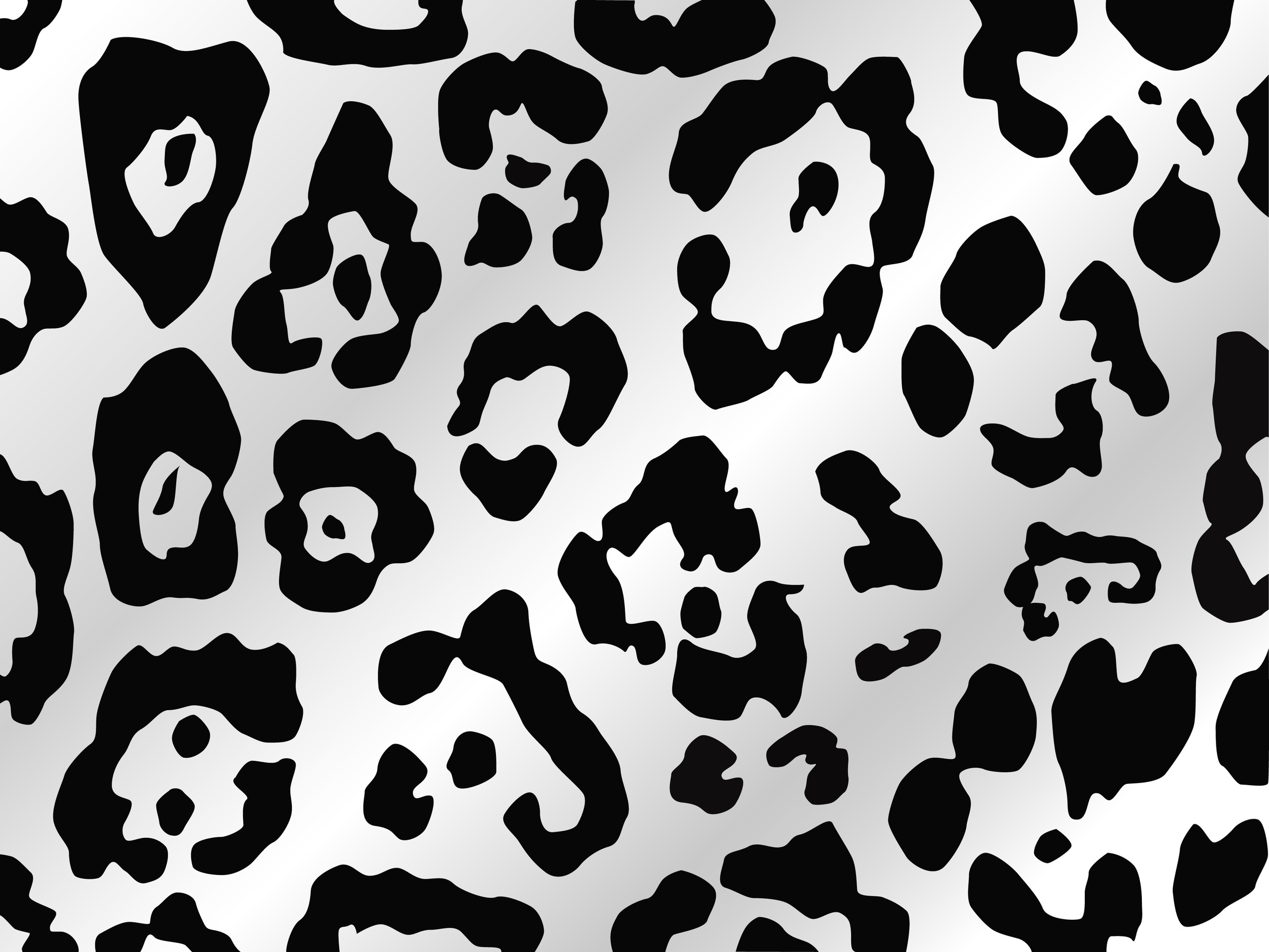 Cheetah print clip.