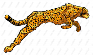 Realistic cheetah cartoon.