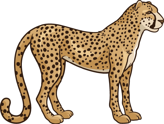 Cheetah clipart transparent.