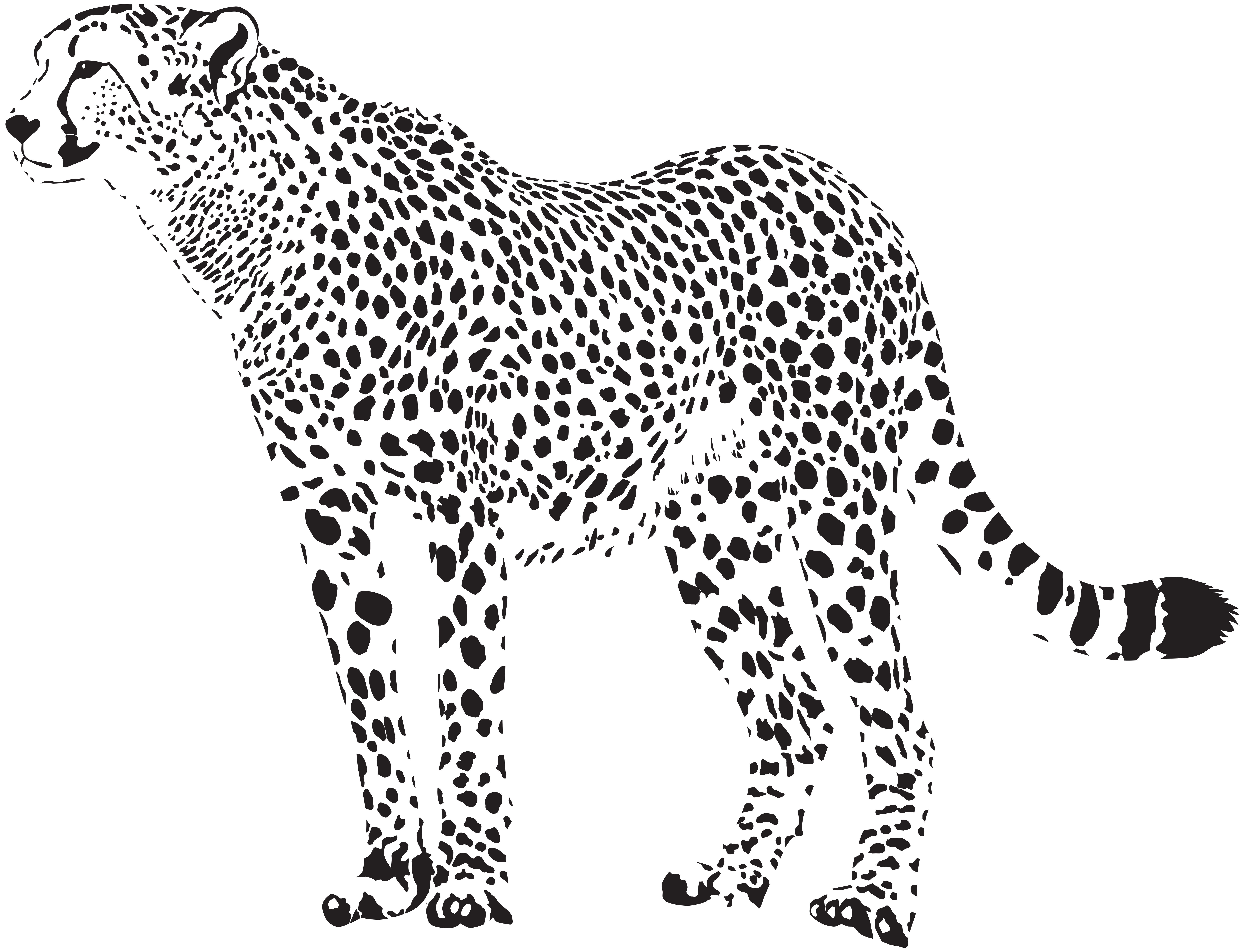 Free Cheetah Silhouette Cliparts, Download Free Clip Art