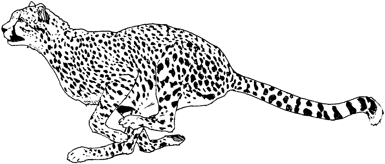 Free Cheetah Clipart Black And White, Download Free Clip Art