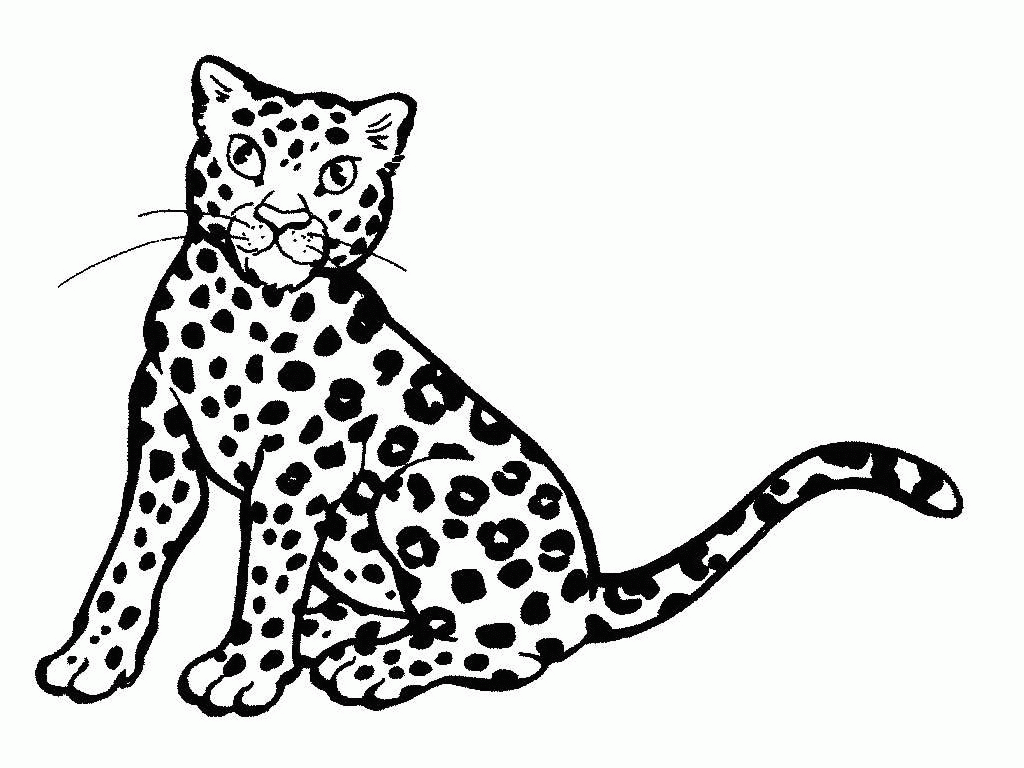 Cheetah clip art.