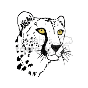 Black and white cheetah with vibrant yellow eyes clipart