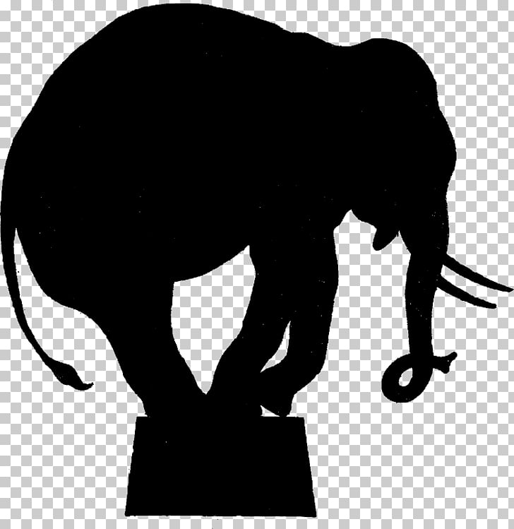 Circus elephant silhouette.